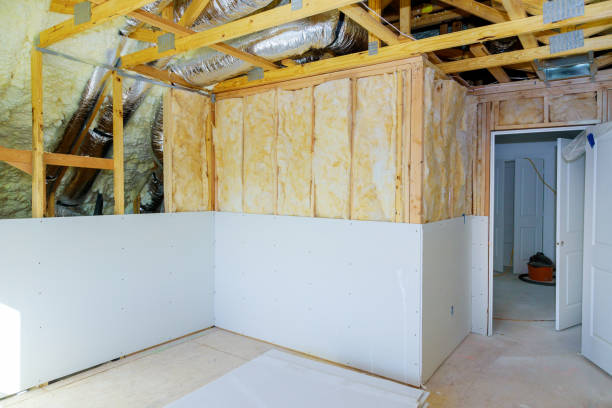 Best Insulation Installation Services in Cambridge, IL